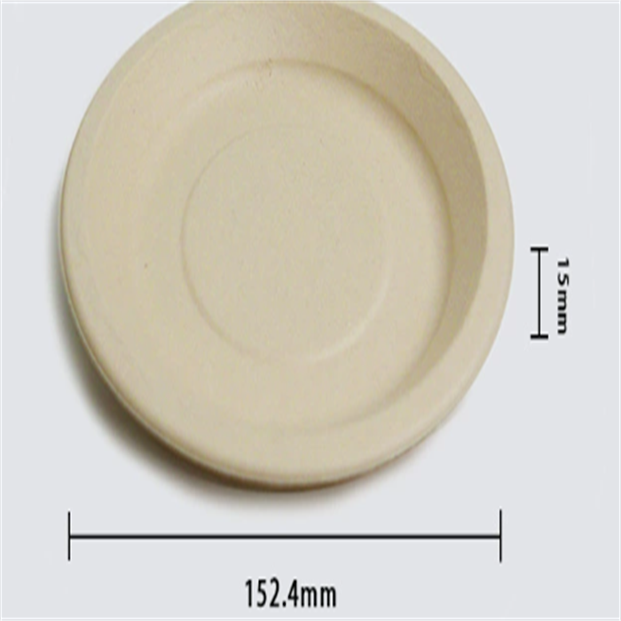 bamboo tray  from disposablesInc.com.